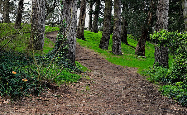 20060129_home_mg_7589