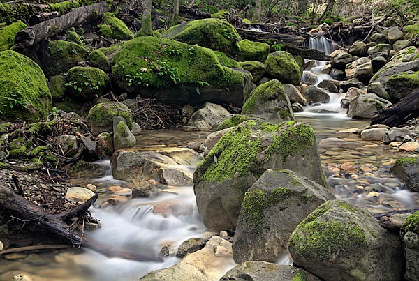20060204_uvas_canyon_mg_0155a