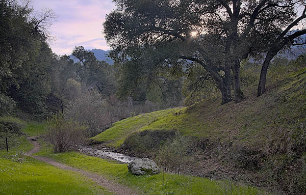 20060206_sunol_mg_0333b