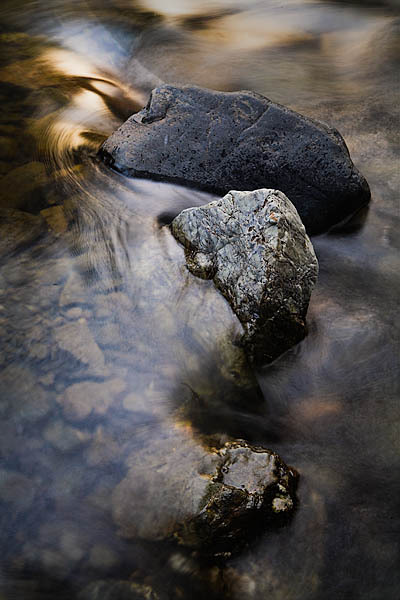 20060206_sunol_mg_0460 20060206_sunol_mg_0460
