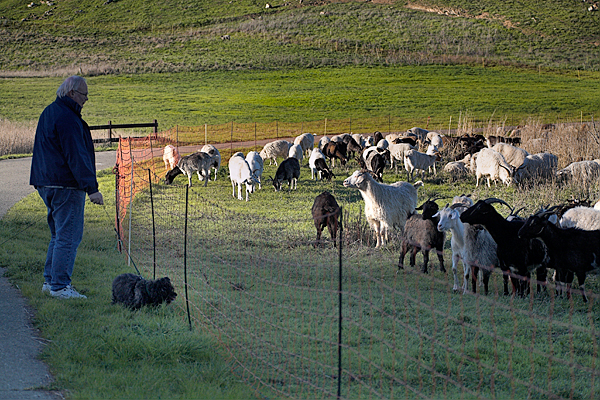 20060208_sunol_mg_0503