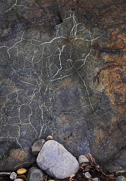 20060212_sunol_mg_0603