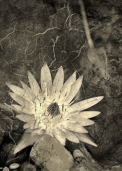 20060212_sunol_mg_0603c