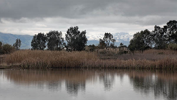 20060217_baylands_mg_0645