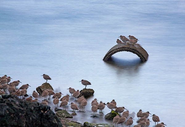 20060218_don_edwards_mg_0711