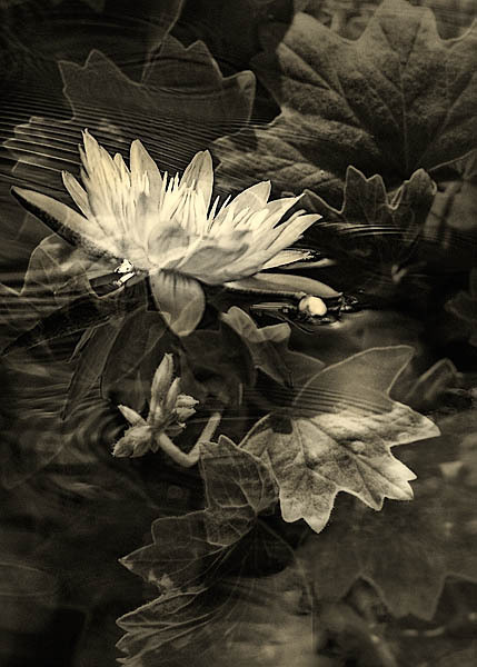 20060221_fremont_mg_7863c