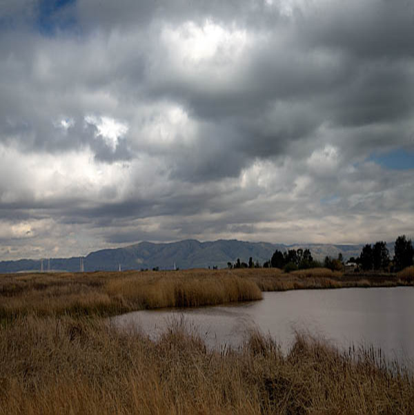 20060228_baylands_mg_0979