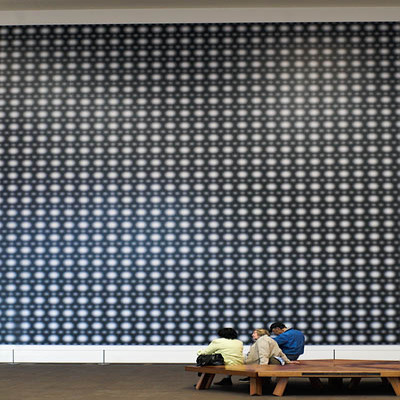 20060302conservatory_of_flowers_mg_1176