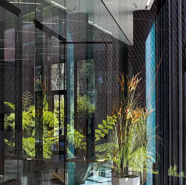 20060302conservatory_of_flowers_mg_1200