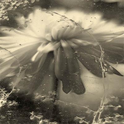 20060308_fremont_mg_1327c