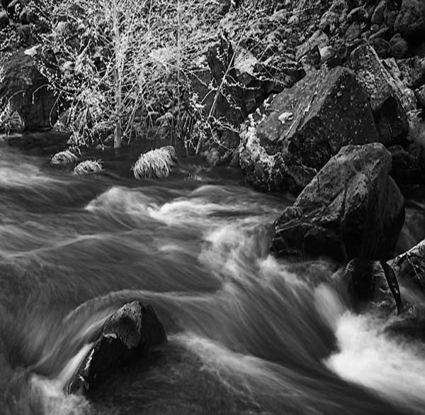 20060311_fremontcrw_7526