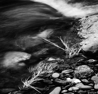 20060311_fremontcrw_7582