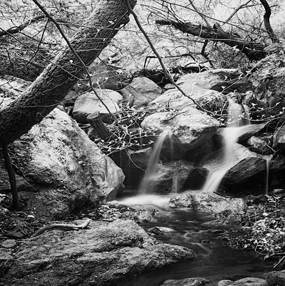 20060313_sunolcrw_7609 20060313_sunolcrw_7609