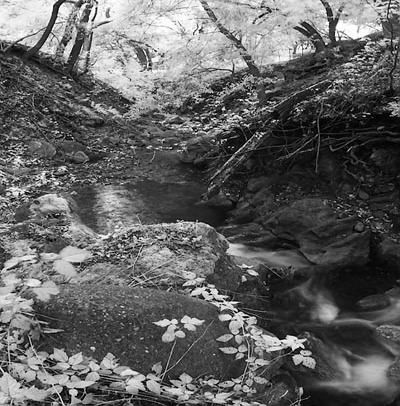 20060313_sunolcrw_7627 20060313_sunolcrw_7627