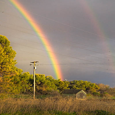 20060317_coyote_creek_mg_138202