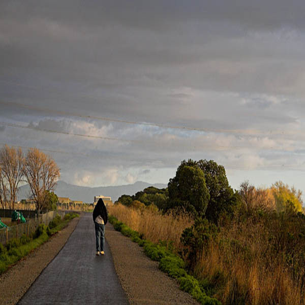 20060317_coyote_creek_mg_1386