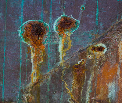 20060319_sail_club_mg_1434