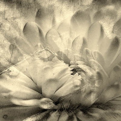 20060319_sail_club_mg_1438c