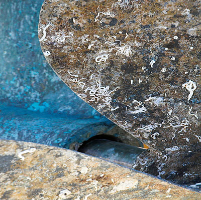 20060319_sail_club_mg_1454