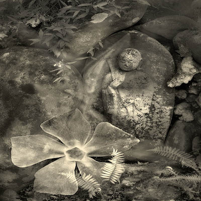 20060325_hakone_mg_1588c2