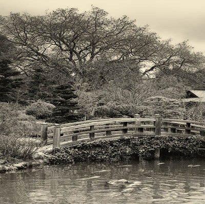 20060325_hakone_mg_1635 20060325_hakone_mg_1635