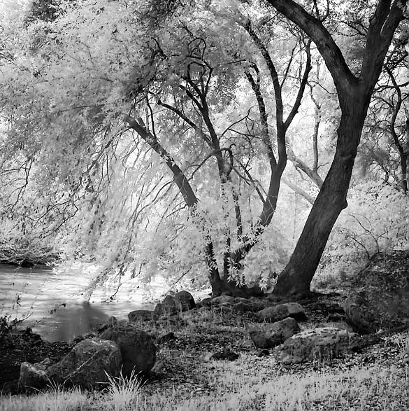 20060329_sunolcrw_7796p