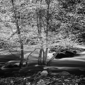 20060329_sunolcrw_7812_1 20060329_sunolcrw_7812_1