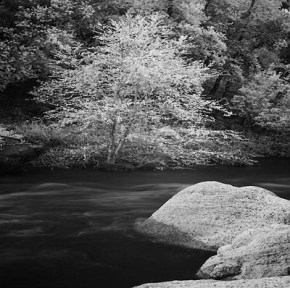 20060329_sunolcrw_7831