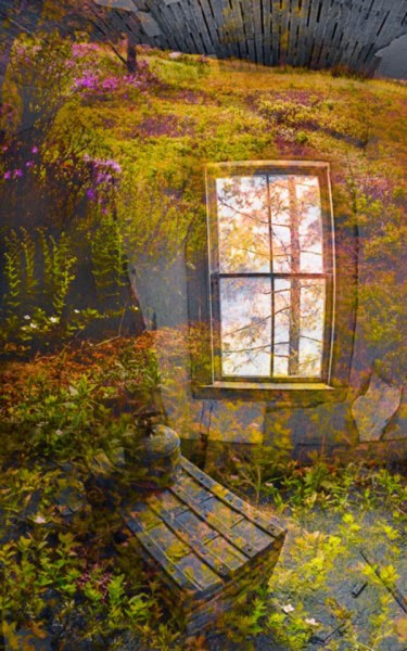 20060531_freeman_mg_3660c_1