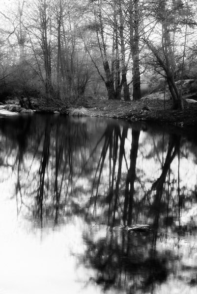 2007-01-01-Sunol-CRW_8233