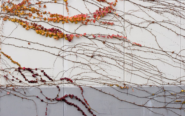 2007-01-18-Misc-_MG_8440