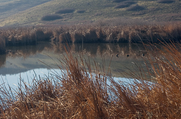 2007-01-18-Misc-_MG_8470