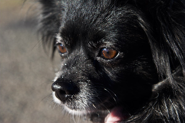 2007-01-18-Misc-_MG_8493