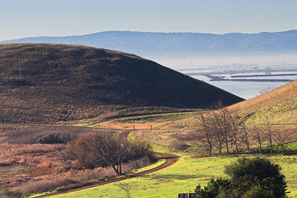 2007-01-18-Misc-_MG_8496