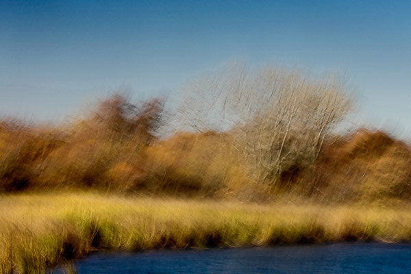 2007-01-21-Sacr-_MG_8326