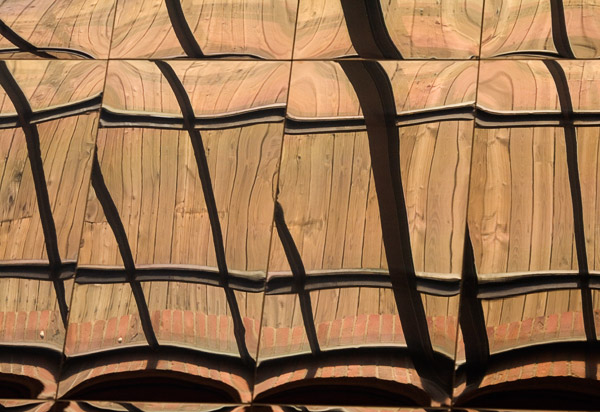 2007-01-21-Sacramento_8407