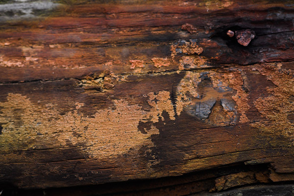 2007-01-71-Crockett-8652