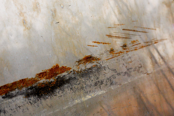 2007-01-71-Crockett-_8649