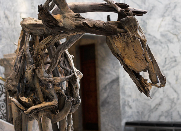 2007-02-18-Stanford_8556