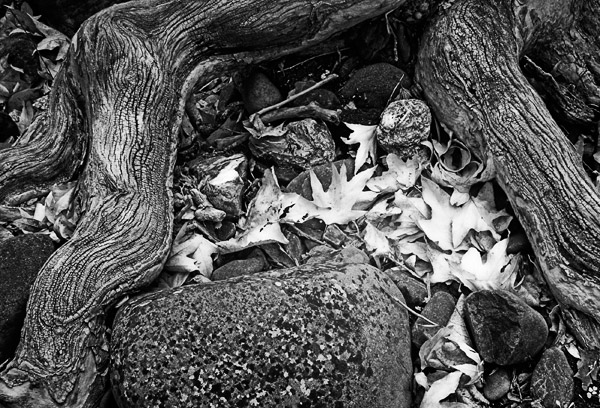 2007-02-18-SunolCRW_8326