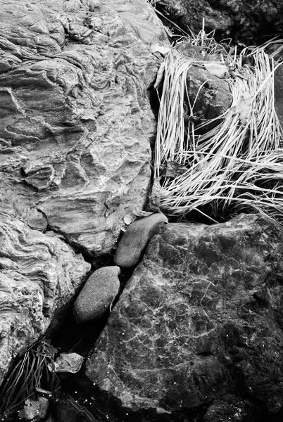 2007-02-21-SunolCRW_8363