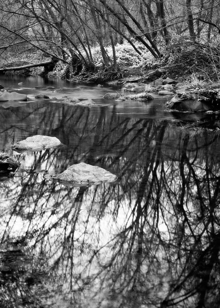 2007-02-21-SunolCRW_8371