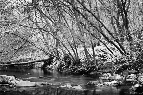 2007-02-21-SunolCRW_8386