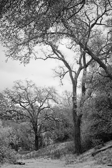 2007-02-21-SunolCRW_8405