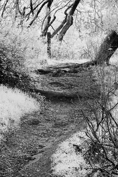 2007-02-28-SunolCRW_8449