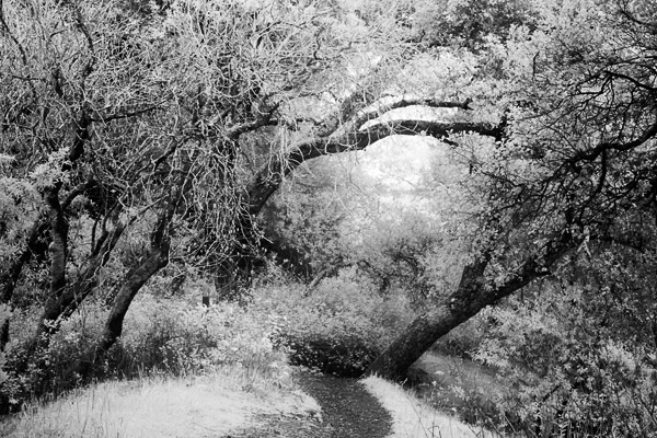 2007-02-28-SunolCRW_8476