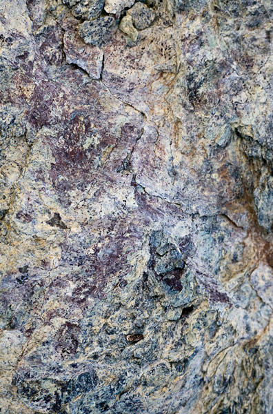 2007-03-19-DonEdwards-8849