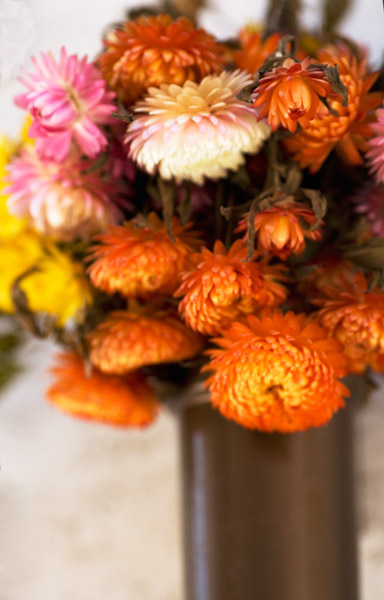 2007-04-01Mountain-View8971