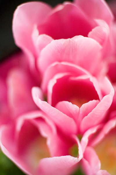 2007-04-01MountainView-8941