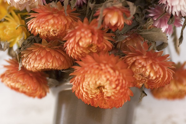 2007-04-01MountainView-8972